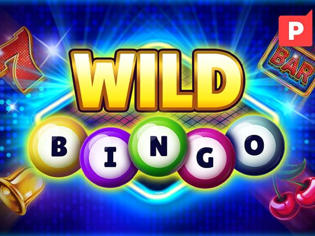 0066 bet Bingo Selvagem